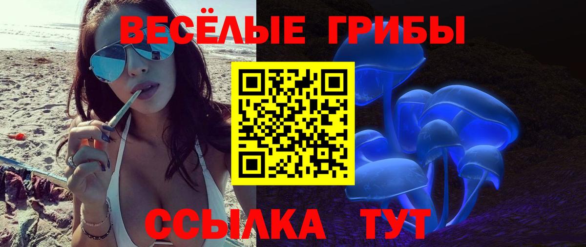 Галлюциногенные грибы MAGIC MUSHROOMS  наркошоп  Старая Купавна  Вход с VPN 