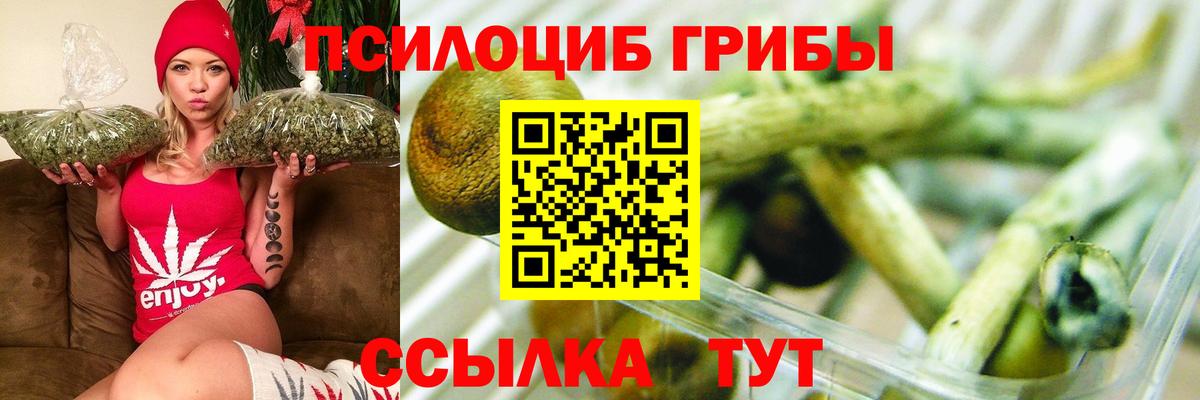 Галлюциногенные грибы прущие грибы Старая Купавна